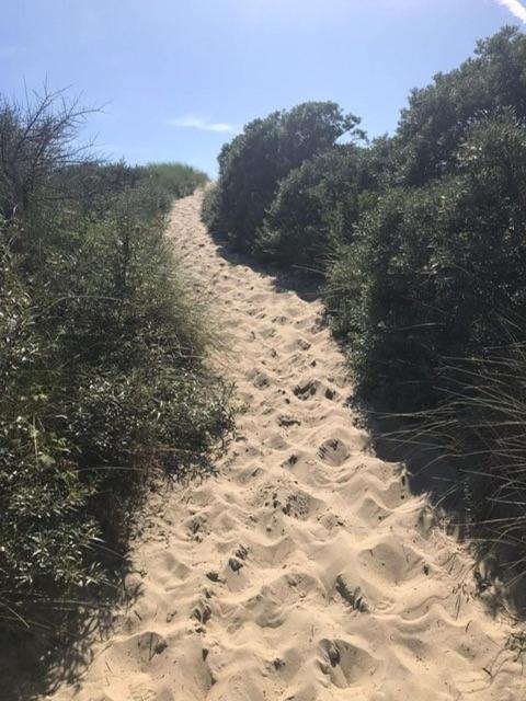 Duinstrand 버그함스테드 외부 사진
